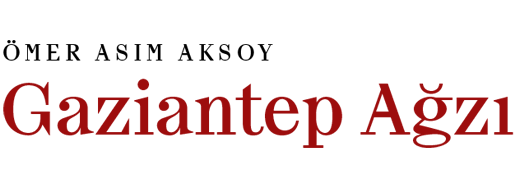 Gaziantep Ağzı Logo